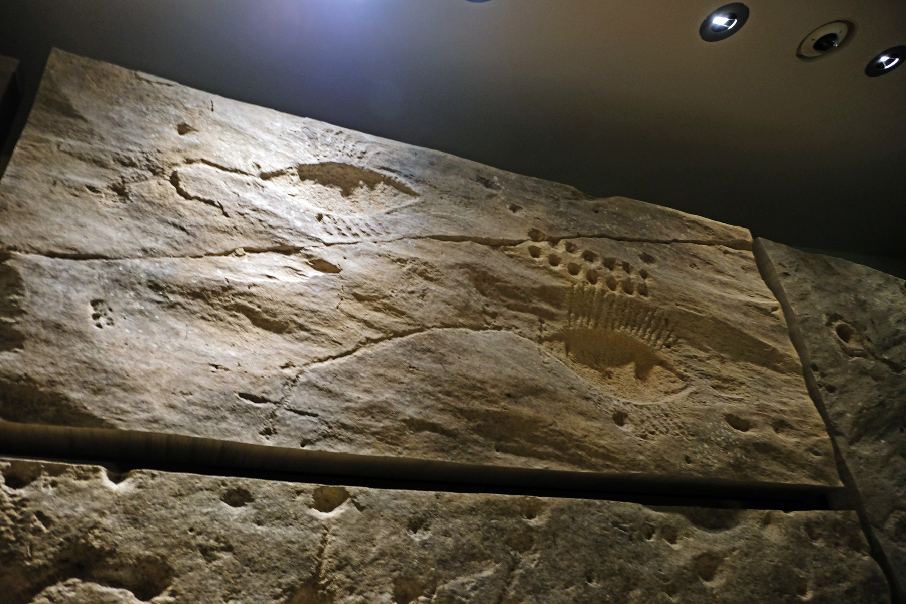 Le musée national du Qatar